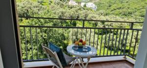 One Bedroom Apartment Petrovac