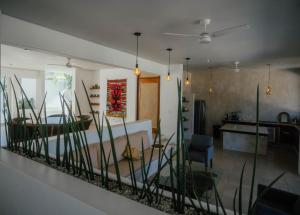 Casa La Bomba