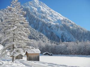 Apartment with Garden View room in Ferienwohnungen Lingg