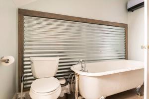 Historic Hagerstown Antietam Battlefield WhiteTail