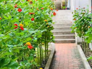 GOLDEN LOTUS SPA & HOMESTAY