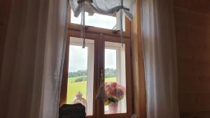 Drevenica Borovianka