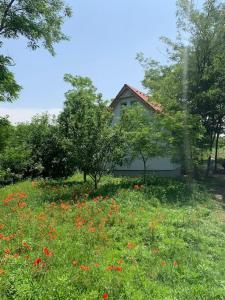 Akácliget Vendégház