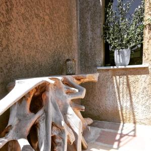 Maisons de vacances A Pasturella : photos des chambres