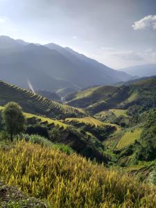 See bungalow mu cang chai
