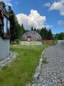 GRASÓWKA - Olchowiec