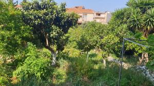 Xristinas Experience