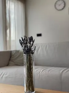 Römer Apartment und Zimmer - Buchloe