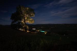 Auberge Santu Martine: Cottage with Pool (Manca) img18