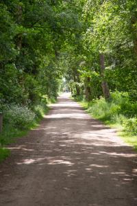 Wohnen am Südstrand - Ferienwohnung 1 6
