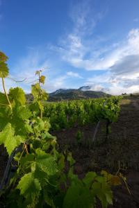 Auberge Santu Martine - Cottage with Pool - Ischierda img59