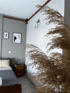 Kastalia Studios And APARTMENTS