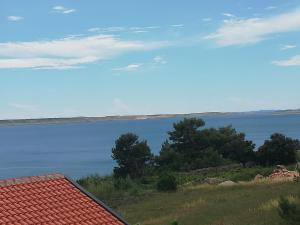 Nasedli kit 2 - "Beached whale 2"