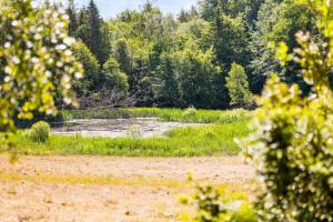 Jocksborg - Country side cottage in the woods