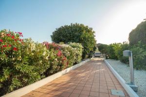 Royal Playa Suite and Apartament -private parking- self chek out