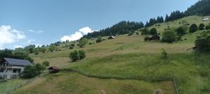 Pensiunea Sorina Casa Alba