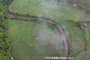 บ้านSlowbar coffeeเวนิสบ้านเวร