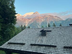 Appartements Chalet d'en Haut - Appt du Bas & Mazot - Grand Jardin Prive - Vues Chaine du Mont-Blanc : Chalet