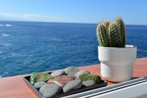 Beachfront Apartment - Tacoronte