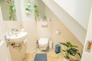 Cosy Retreat in The City Centre