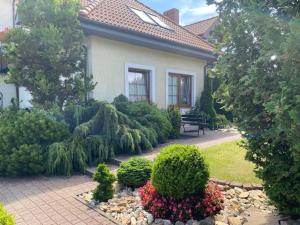 Willa Rogowskich - Apartamenty na wynajem w Rewalu