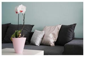 Ingrids Guesthouse Gartenidylle