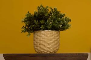 Intendente 1865 Suites