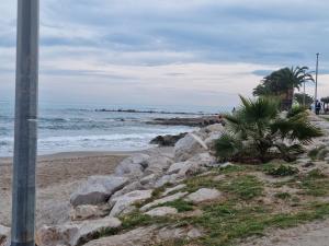 MARITIMO -ELMAR