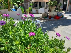 Appartamenti Tropea Gargano