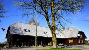 Zaku Krogs - Alsunga