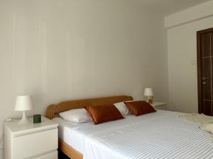 Tara Two Bedroom Apartment - Budva