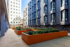 For Students Only Fresh Oldway Centre Swansea