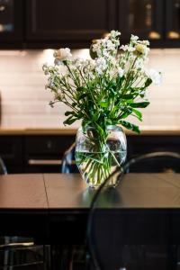 Happy Stay Sopot Monte Cassino 44 A