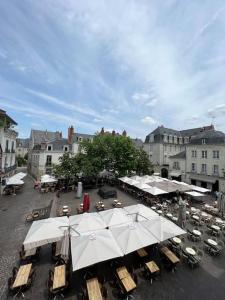 Appartements T2 vue sur La Place Plumereau : photos des chambres