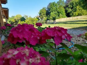 Les Cottages du Chateau de Werde