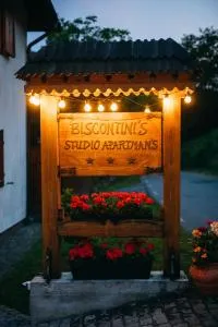 Biscontini's Studio - Siklod