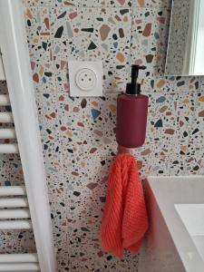 Appartements maison PING ,en face des arenes : photos des chambres