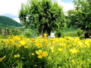 Ferienwohnung Seespiegel direkt am Kalterer See