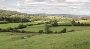 Luxury Shepherds Hut with Hot Tub Valley Views