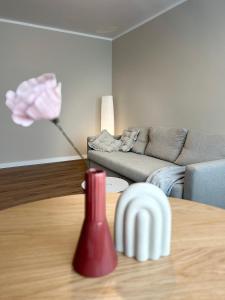 Skandi Appartments in Saldus city center