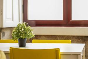 Travel & Live Alegria 248