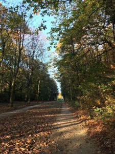 Maisons de vacances Big house in charming village. Impressionist road : photos des chambres