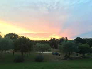 Appartements Gite tout confort au calme entre mer et garrigue : photos des chambres