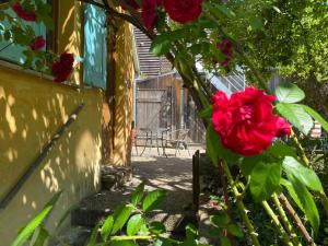 Maisons de vacances Ecologis du Vignoble : photos des chambres