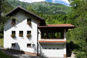 Country house At Peskar`s