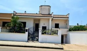 Dasylirion Vacanze - Cursi