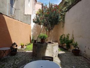 Appartements Appartement T2 avec jardin privatif : photos des chambres