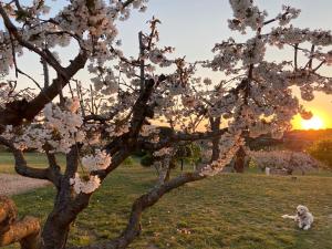 Le Clos dEstellan - Piscine chauffée