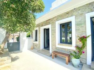 Urban Oasis: Stone House with pool & garden - Aëtós