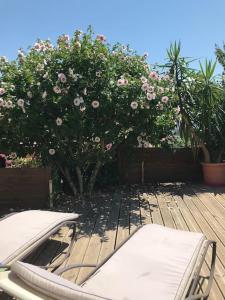 Appartements Appartement sur la colline avec acces piscine : photos des chambres